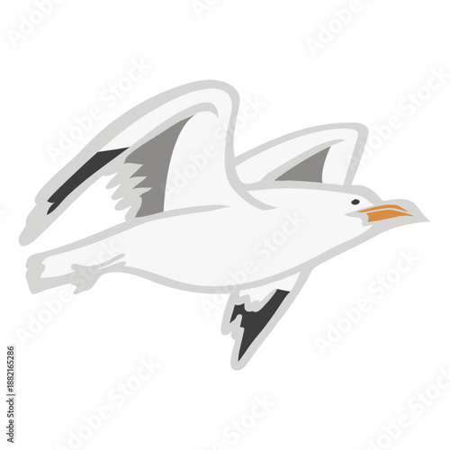 Gull fly color animal flat