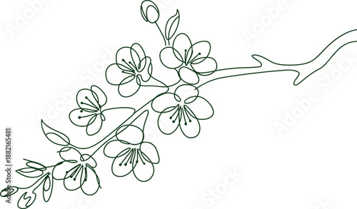 Cherry Blossom One Line Illustration with Flower Branch and Leaves, Minimal Continuous Line Floral Art for Spring, Nature, Botanical, and Elegant Design Concept
