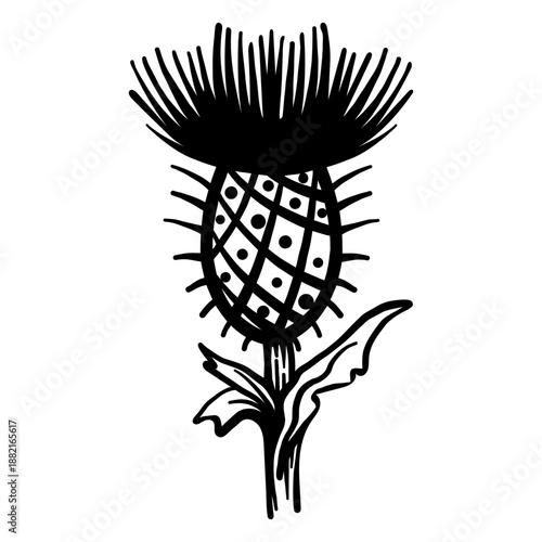 Thistle thorn spike stroke