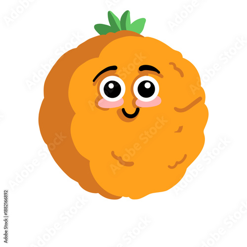 Orange mandarine tangerine flat