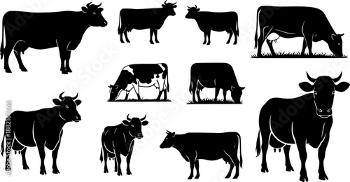 set of cow vector silhouettes, set of different style cow, Dairy farm cow, Cow Grazing On Meadow, vector silhouettes

