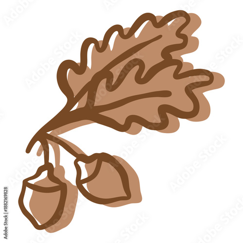 Hand drawn stroke oak leaves acorn