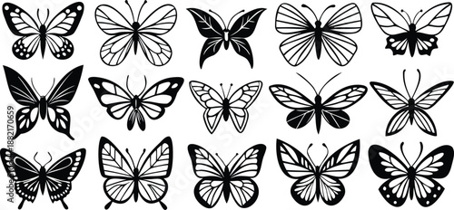 butterfly insects wings with vector file