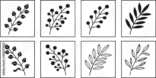 Plant frames with vector file