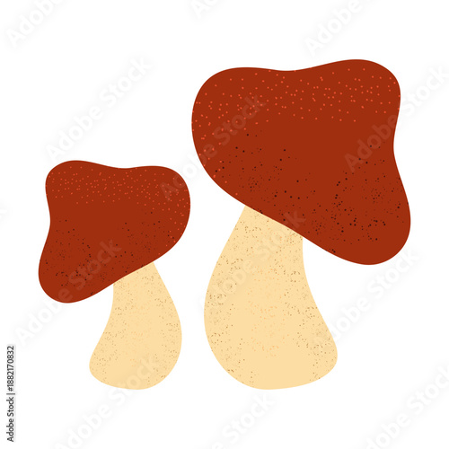 Mushroom textured illustration