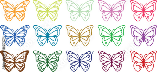 Colorful butterfly insects wings patterns