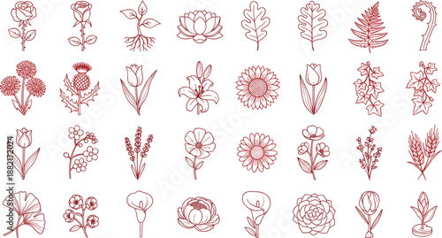 Botanical Floral Garden and Leaf Icon Set