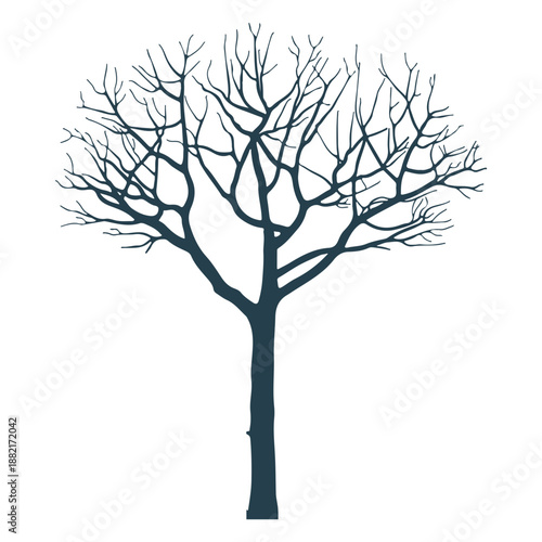Tree branch trunk silhouette