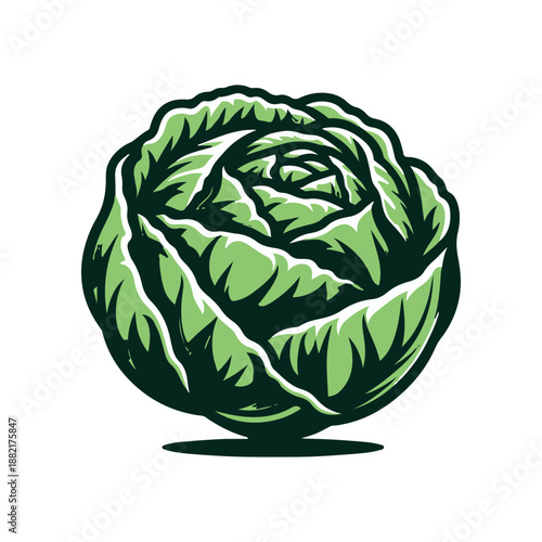 Detailed illustration of a vibrant green cabbage with intricate leaf patterns, isolated on white