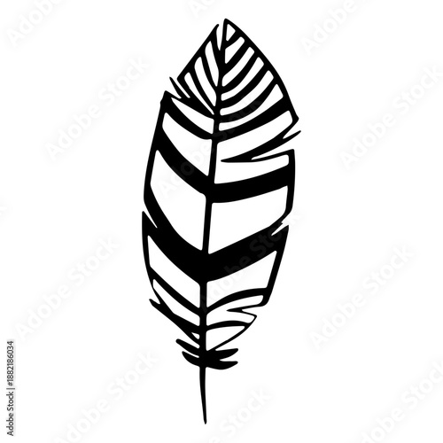 Similar to leaf feather