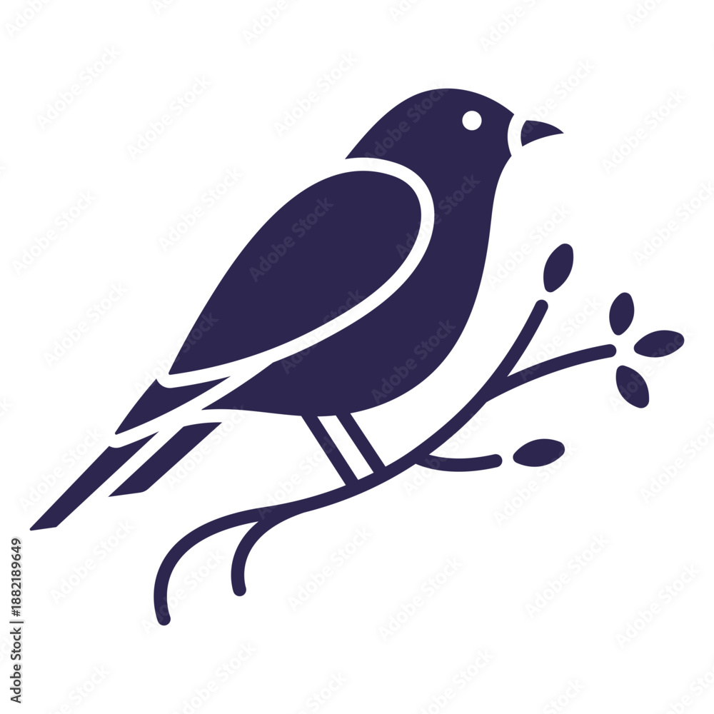 Φωτογραφία Canary bird black