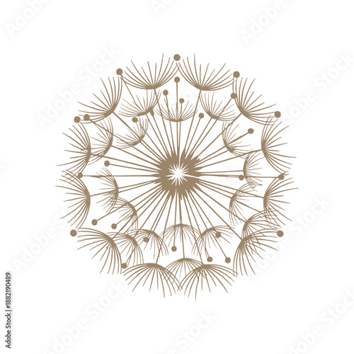 Intricate dandelion seed pattern radiating outward, symbolizing nature's beauty and fragility