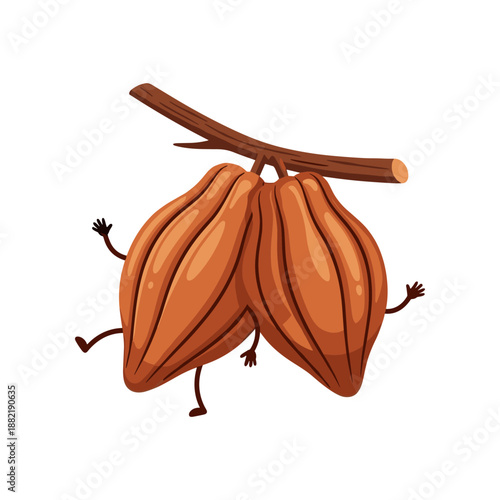 Playful illustration of two cacao pods hanging from a branch, with cartoonish arms and legs, set against a simple white background