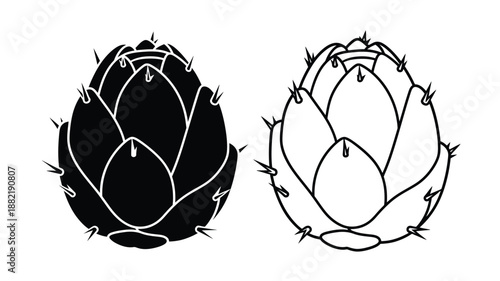 Two artichoke illustrations one black and one white presented as a silhouette