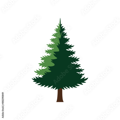 Tall evergreen tree with lush green foliage on a white background, ideal for nature-themed designs