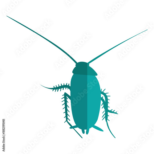 Blue cockroach flat