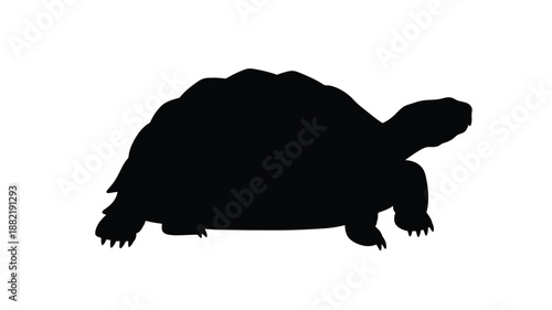 A striking black turtle form against a white background silhouette