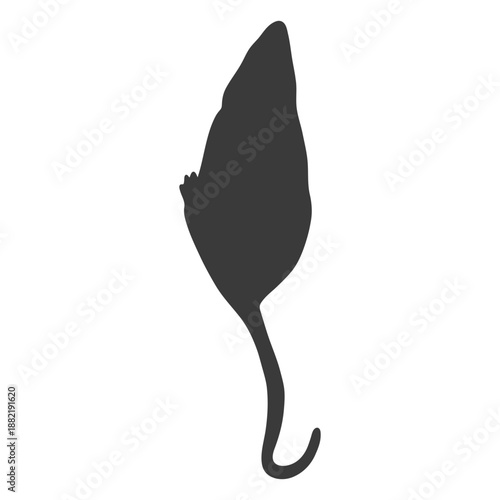 Top view mouse silhouette