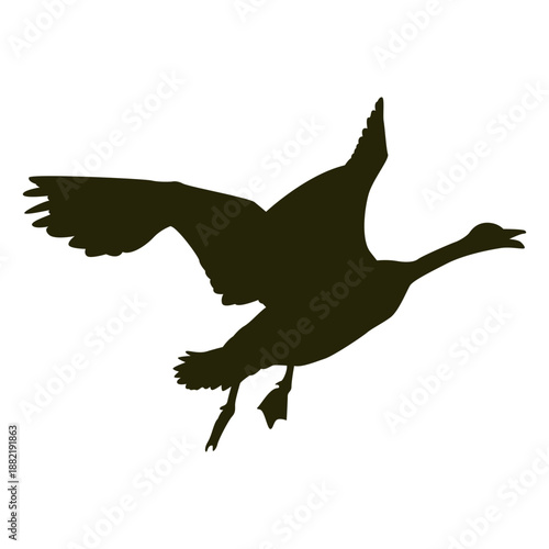 Goose wings flapping honking