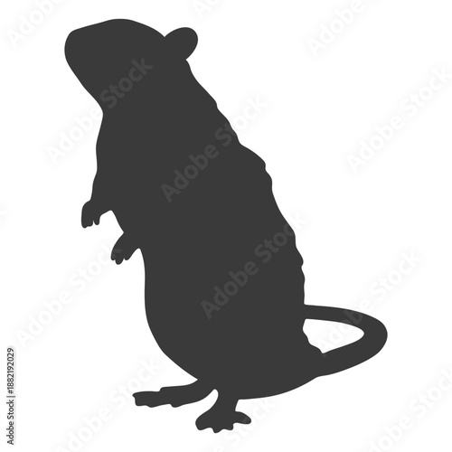 Mouse standing silhouette
