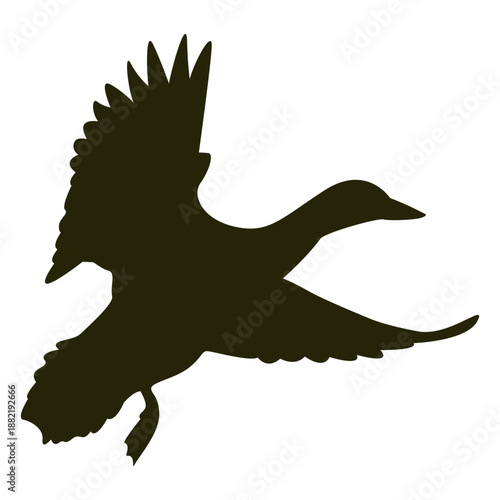 Goose wings spread flapping