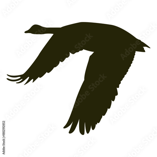 Goose wings spread silhouette