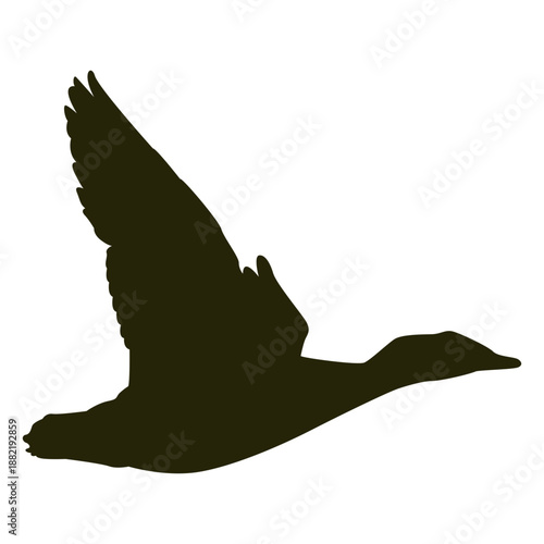 Hunting goose right facing wings upwards