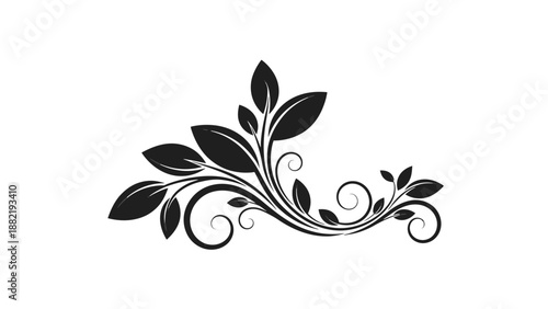 Elegant black floral design with swirling leaves and vines.