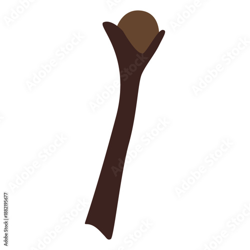 Clove spice flat branch