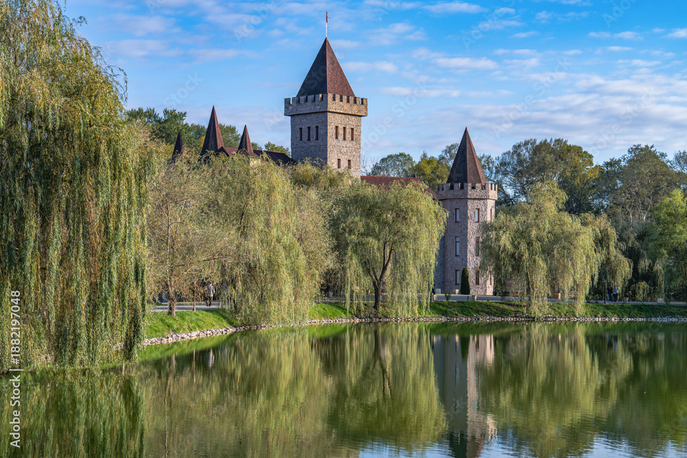 Obraz premium castle on the lake