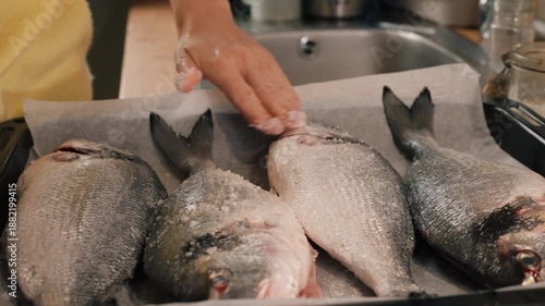 Woman hands rubbing coarse sea salt onto whole fresh gilt head sea bream on parchment lined baking tray, prepare mediterranean home cooked seafood dish.Clean food concept and balanced diet lifestyle.