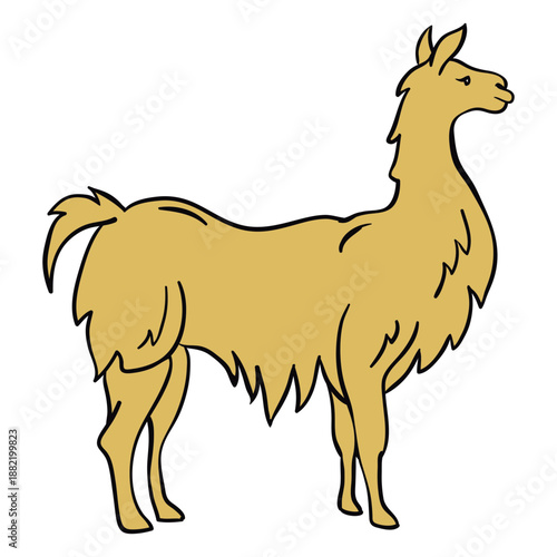 Llama animal profile illustration