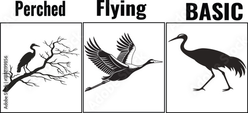 Crane Flying and Perched Bird Silhouettes in Clean Black Minimal Vector Style