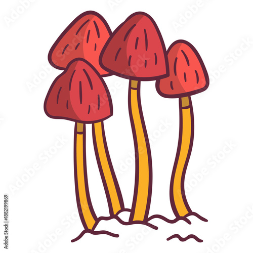 Fungus mushrooms illustration