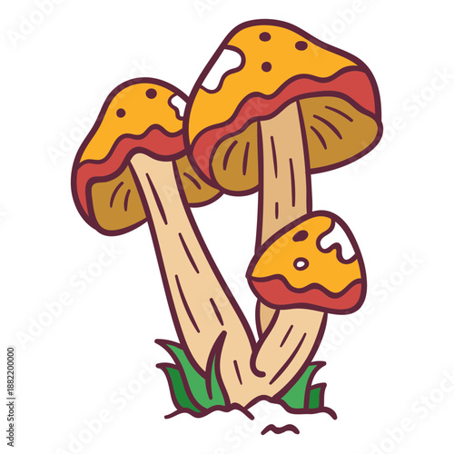 Mushroom amanita caesarea illustration