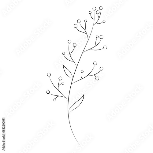 Branch sprouts hand drawn