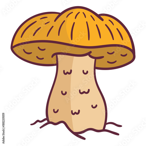 Caesar mushroom fungus illustration