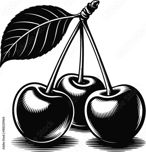 Black and white illustration of cherries with leaf