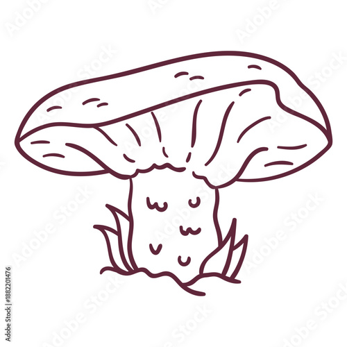 Russula mushroom stroke