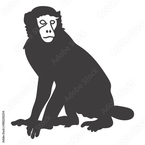Monkey still animal