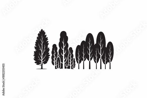 Kauri tree vector silhouettes black image made by adobe illustrator.