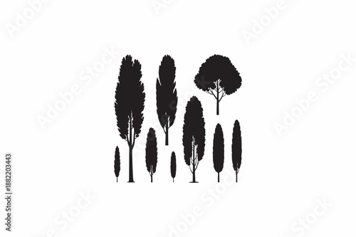 Natural Kauri tree vector silhouettes black image made by adobe illustrator.