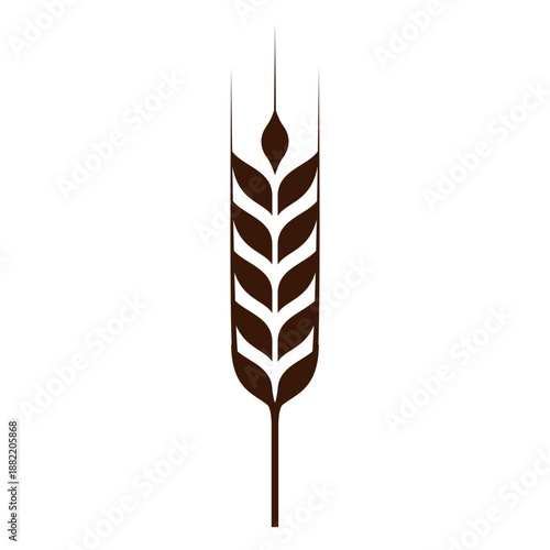 Wheat spike grain cut-out
