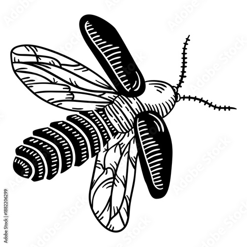 Cockroach bug flying cut-out