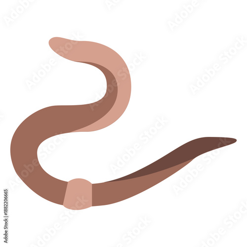 Garden worm animal