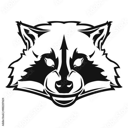 Raccoon head high contrast