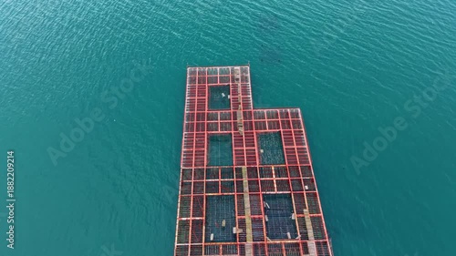 Mussel farm is visible in the clear water with structures placed in rows. Equipment for raising mussels and harvesting are present. Activity centers around shellfish farming.