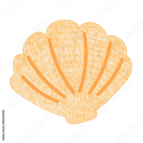 Seashell ocean hand drawn