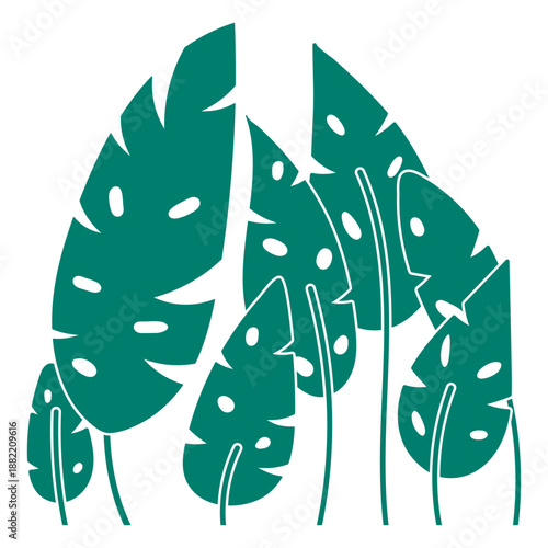 Swiss cheese plant cut out