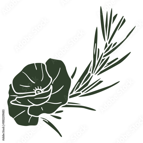 Photos Flower decoration anzac day